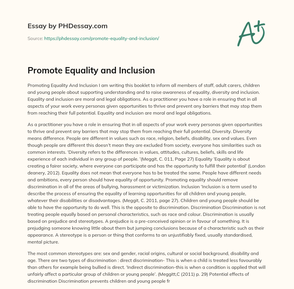 Promote Equality and Inclusion essay