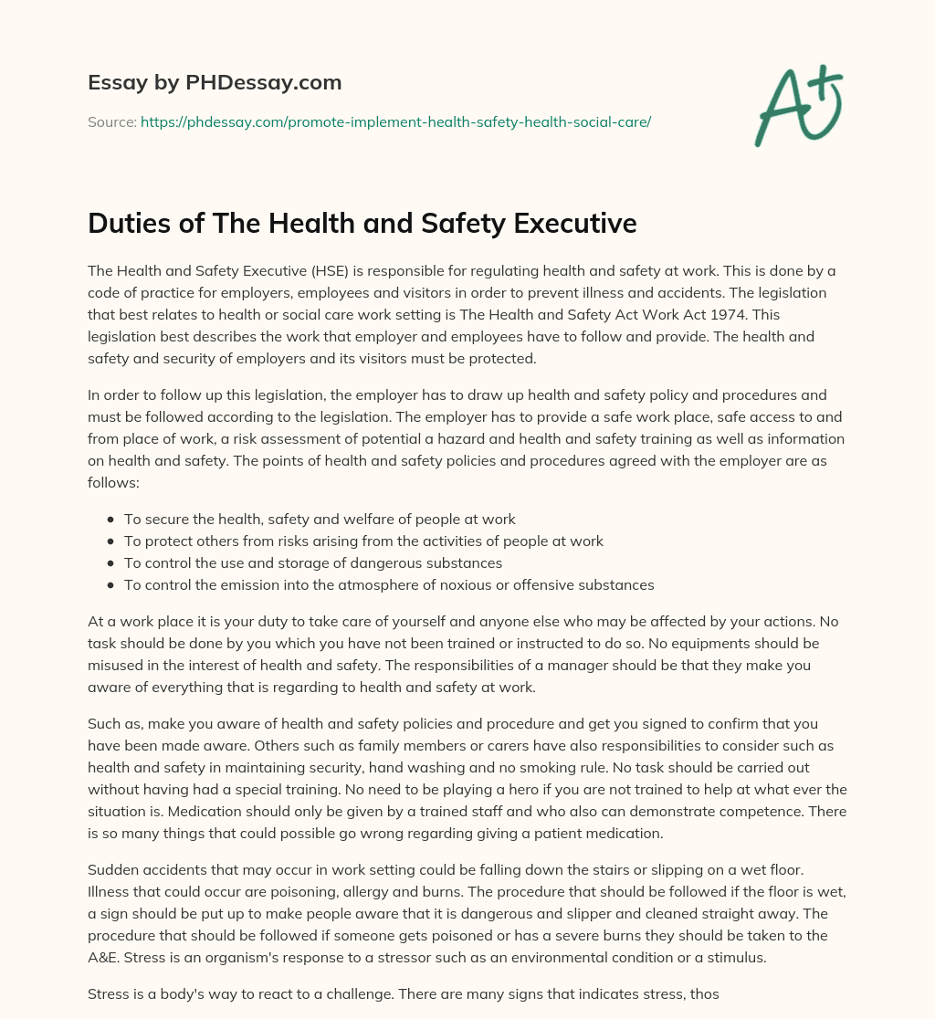 Duties of The Health and Safety Executive essay