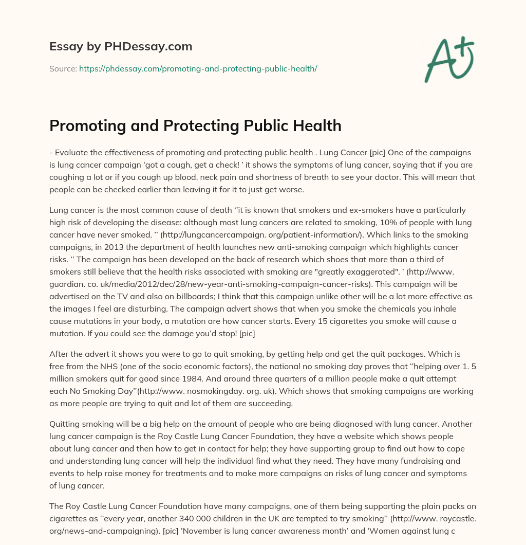 Promoting and Protecting Public Health: Lung Cancer essay