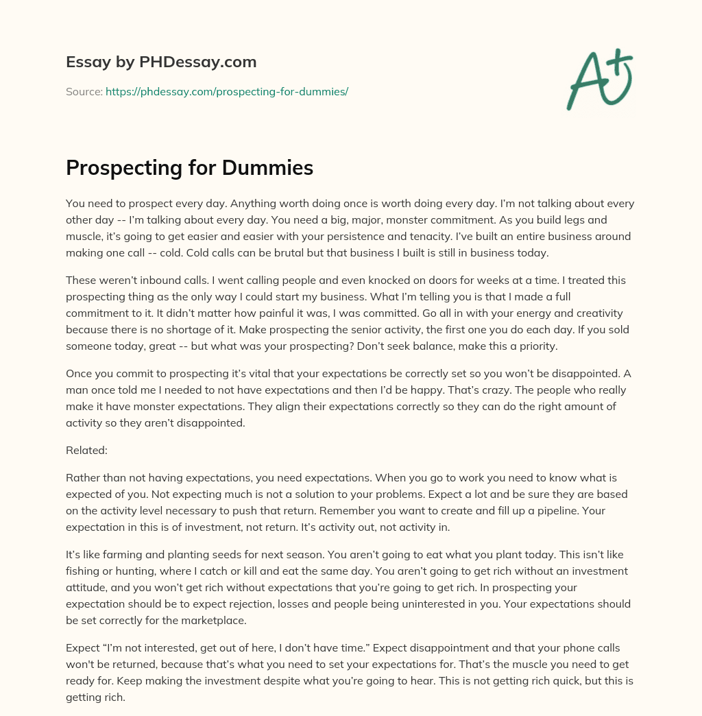 Prospecting for Dummies essay