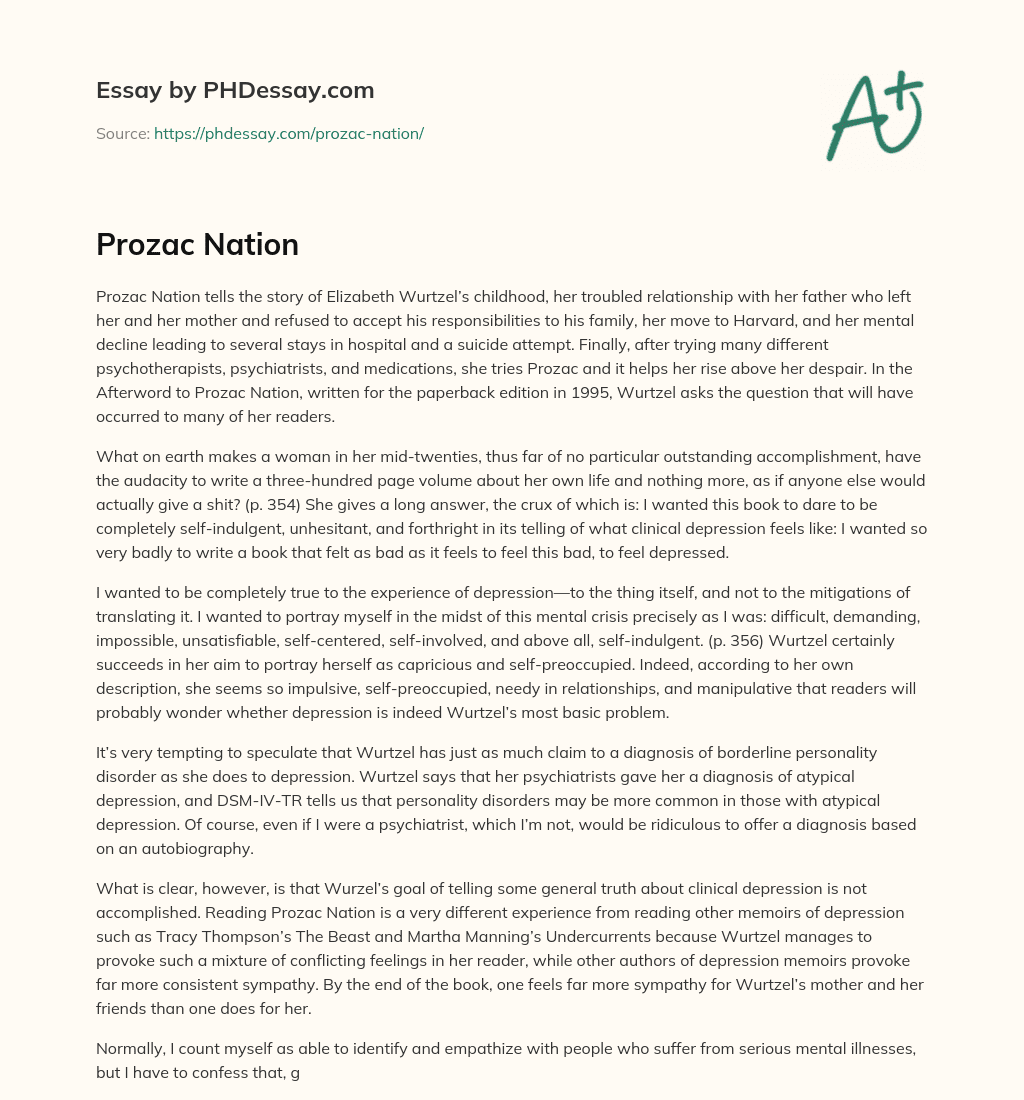 Prozac Nation essay