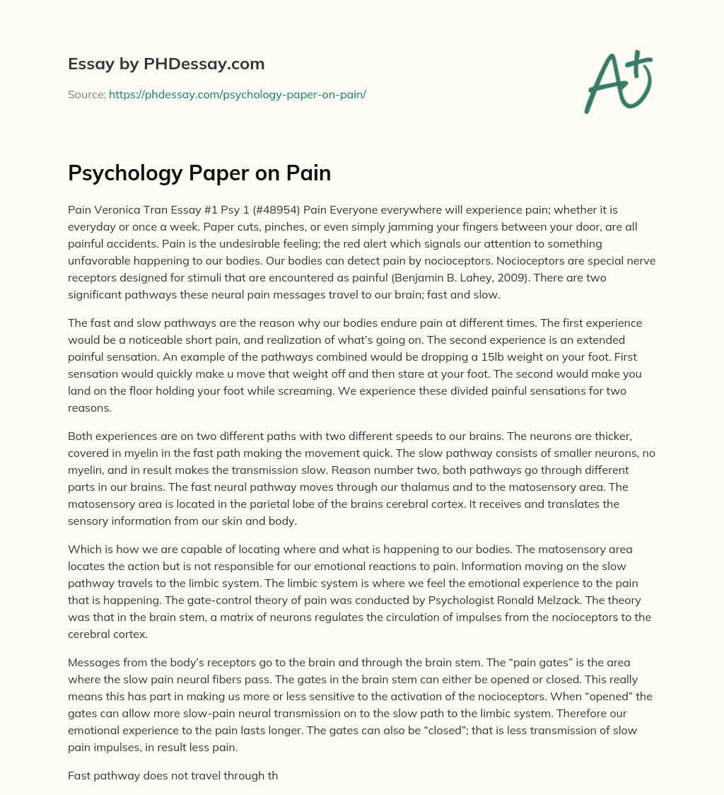 Psychology Paper on Pain essay