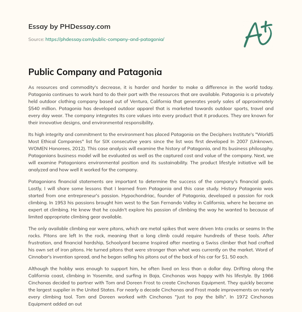 Public Company and Patagonia essay
