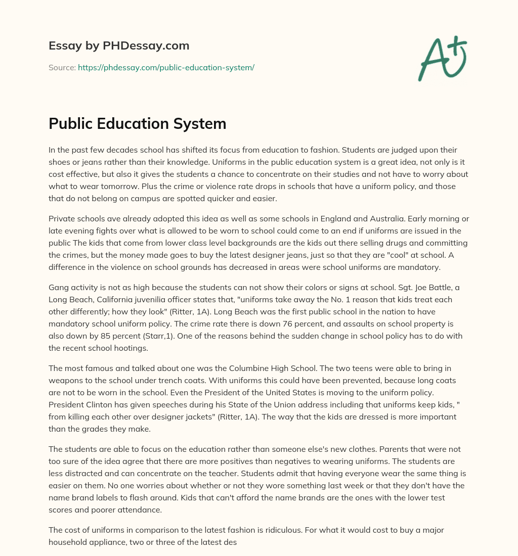Public Education System essay