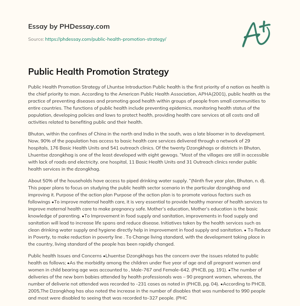 Public Health Promotion Strategy essay