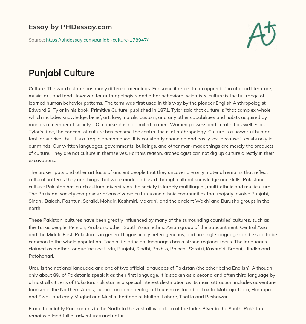 Punjabi Culture essay