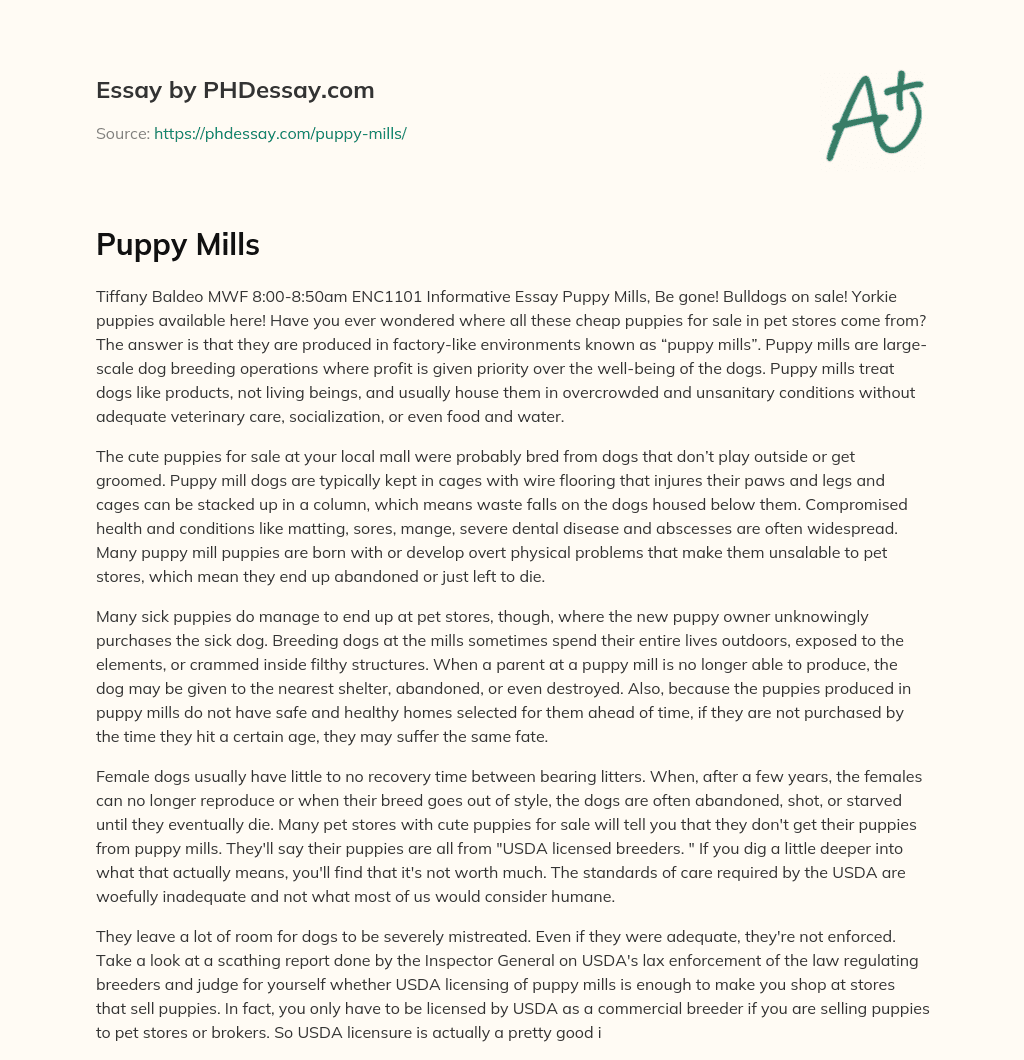 Puppy Mills: Profit Over Animal Welfare essay