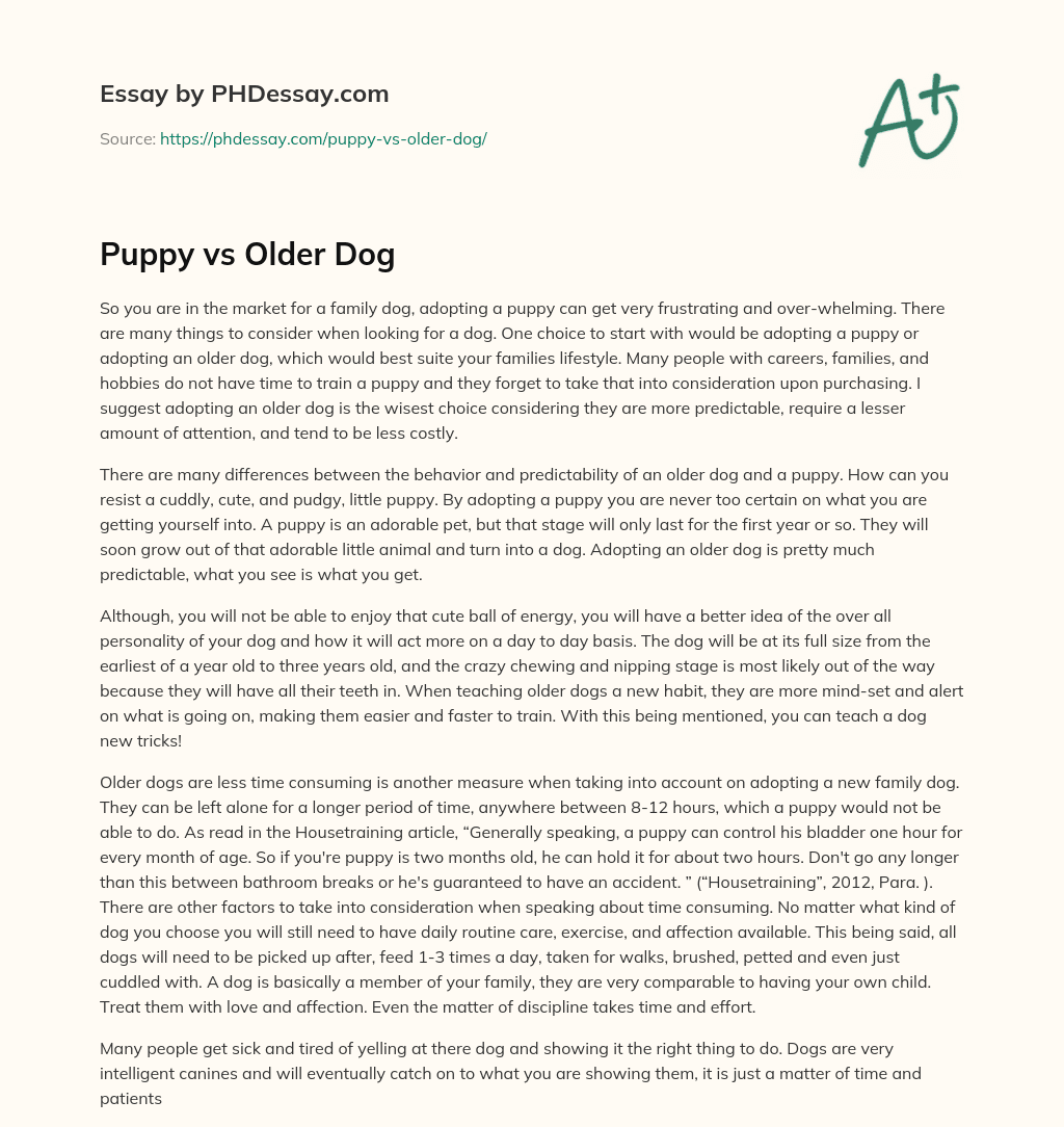 Puppy vs Older Dog essay