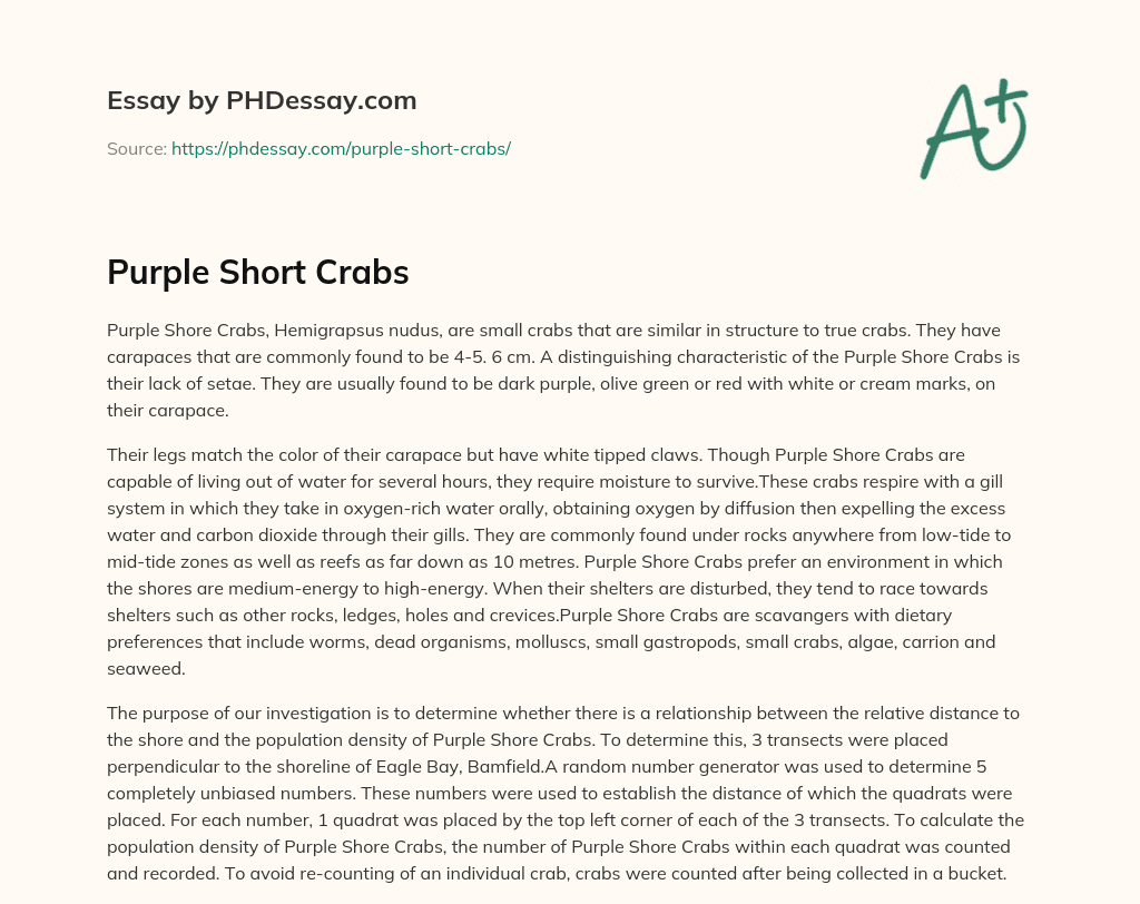 Purple Short Crabs essay