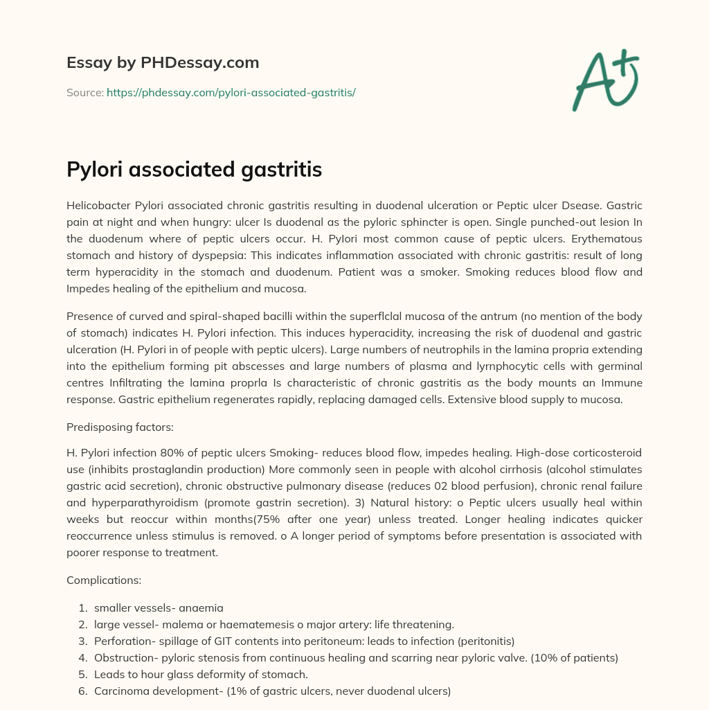 Pylori associated gastritis essay