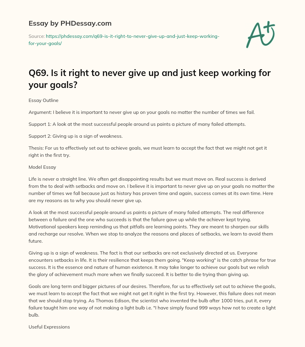 Q69. Is it right to never give up and just keep working for your goals? essay