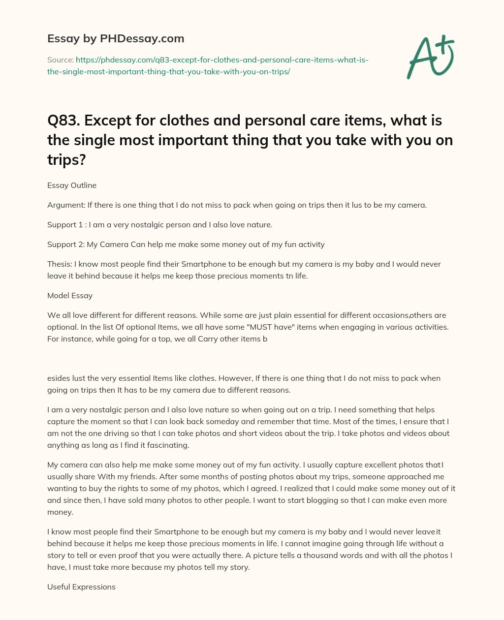 Q83. Except for clothes and personal care items, what is the single most important thing that you take with you on trips? essay