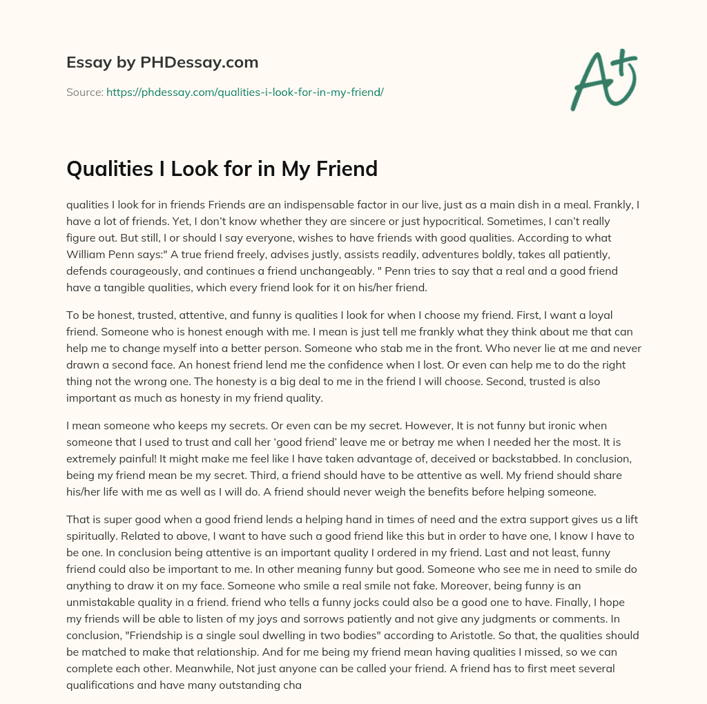 Qualities I Look for in My Friend essay
