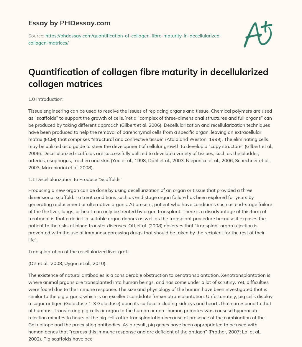 Quantification of collagen fibre maturity in decellularized collagen matrices essay