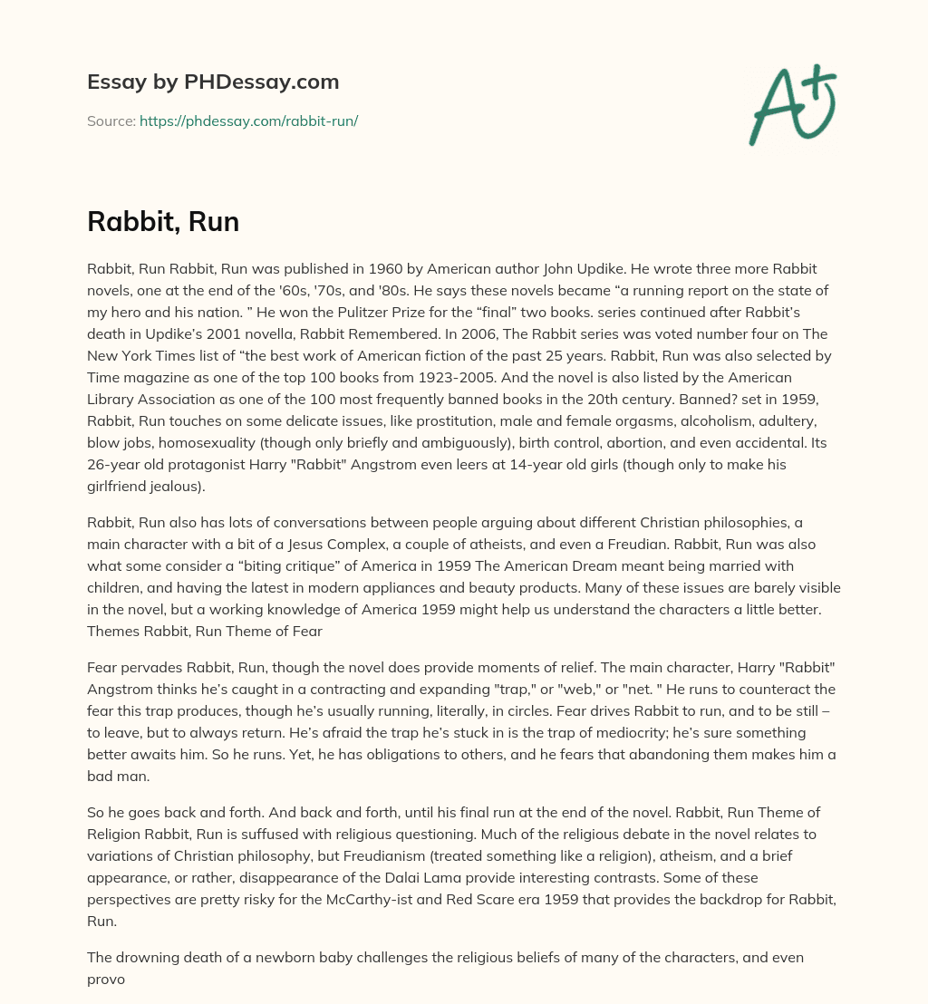 Rabbit, Run essay