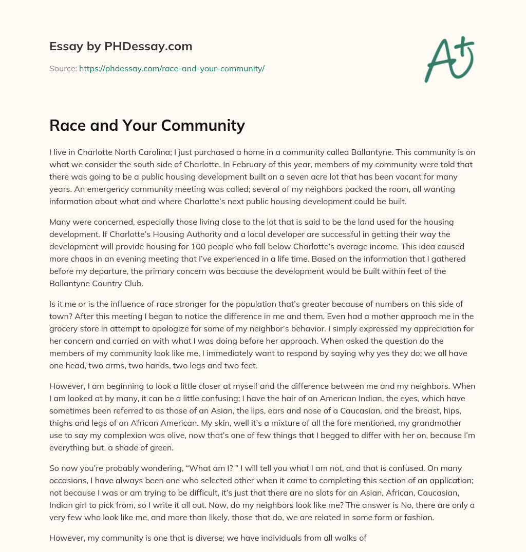 Race and Your Community essay