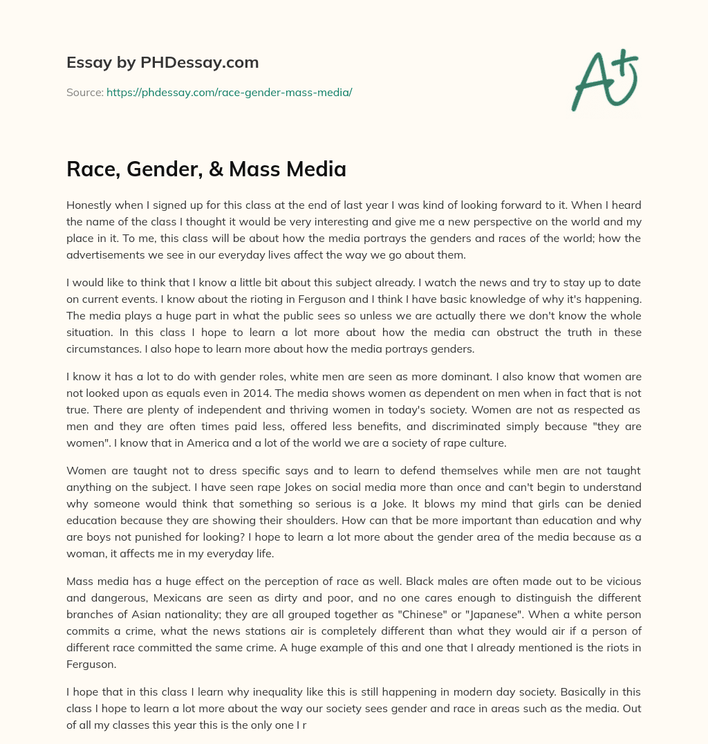 Race, Gender, & Mass Media essay