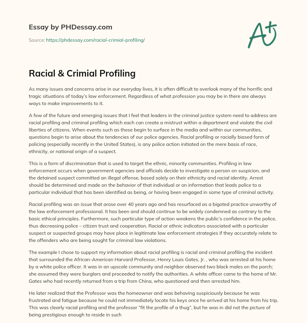 Racial & Crimial Profiling essay