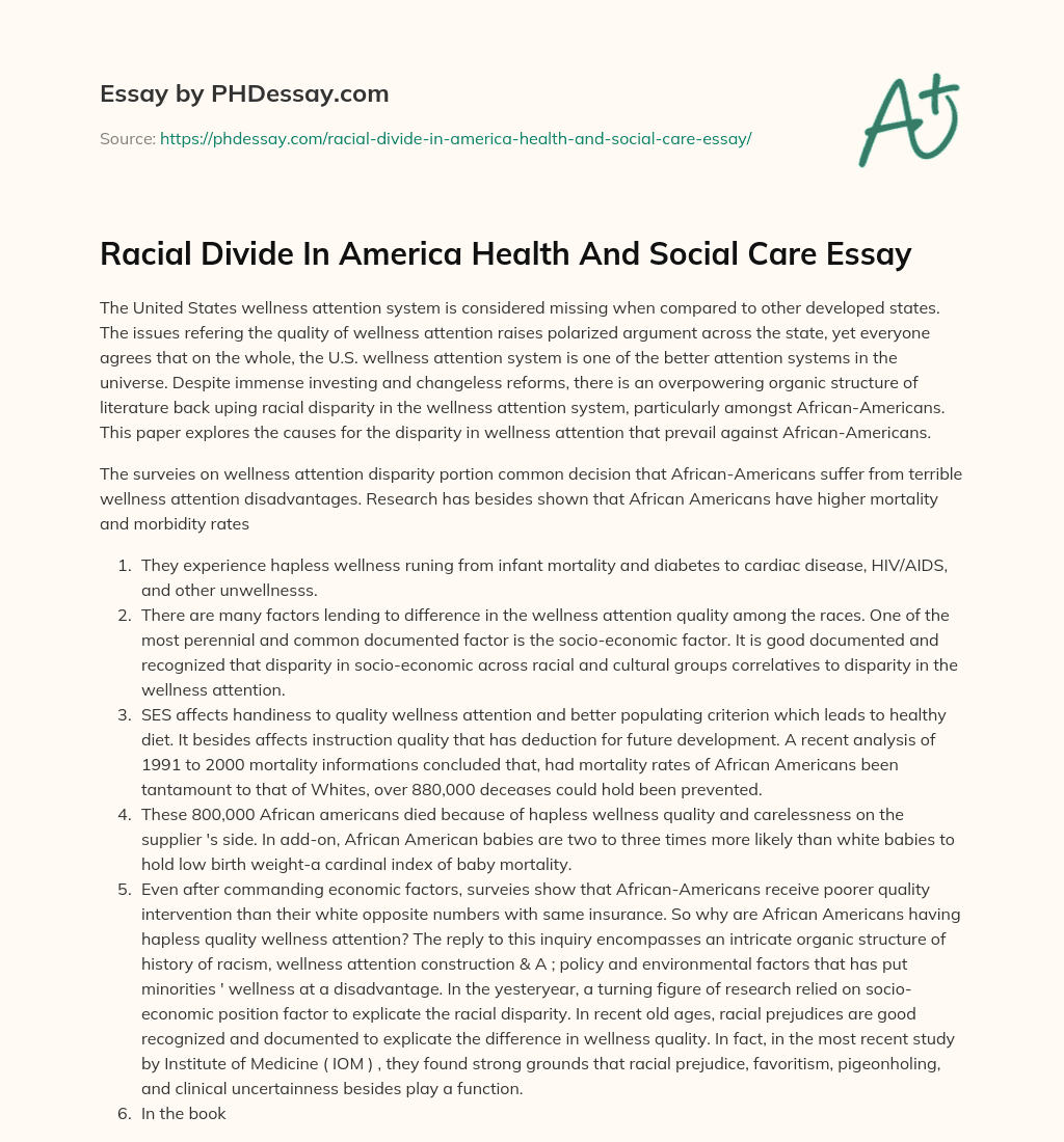 Racial Divide In America Health And Social Care Essay essay