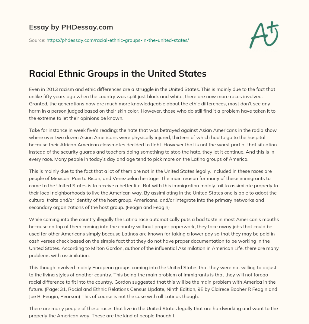 Racial Ethnic Groups in the United States essay