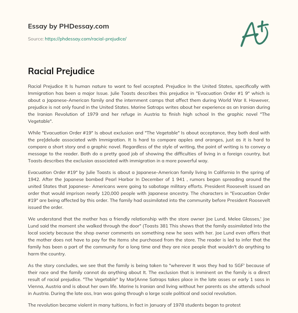 Racial Prejudice essay