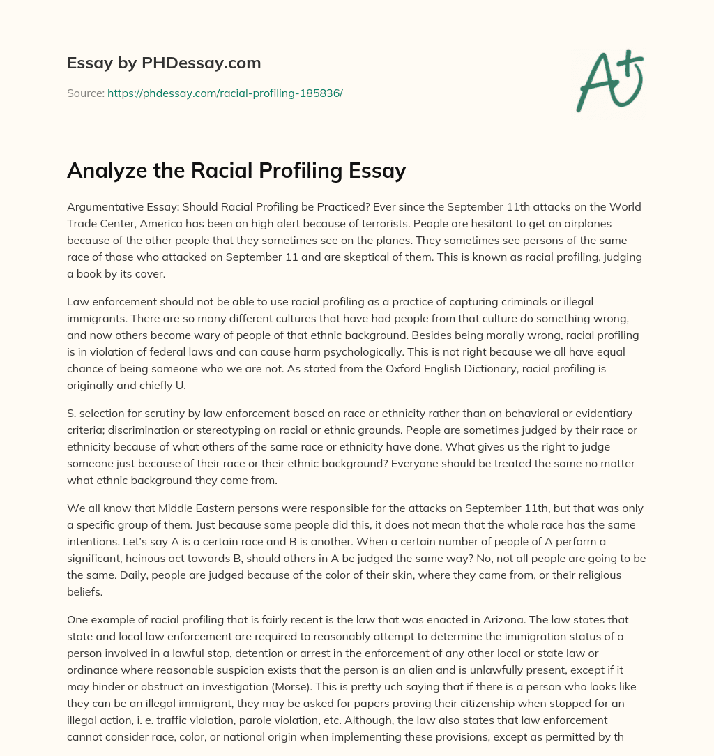 The Debate on Racial Profiling in Law Enforcement essay