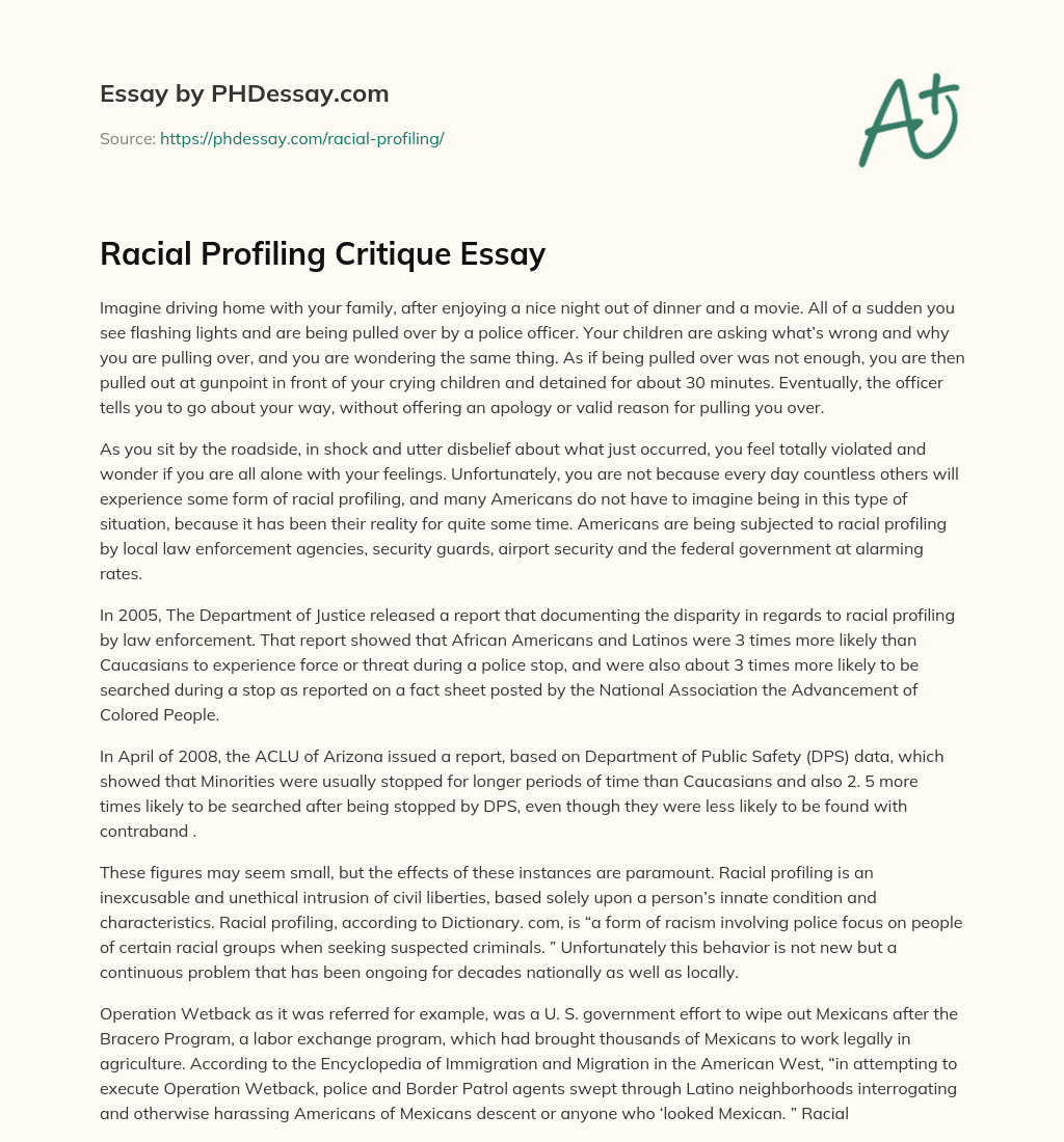 Racial Profiling Critique Essay essay