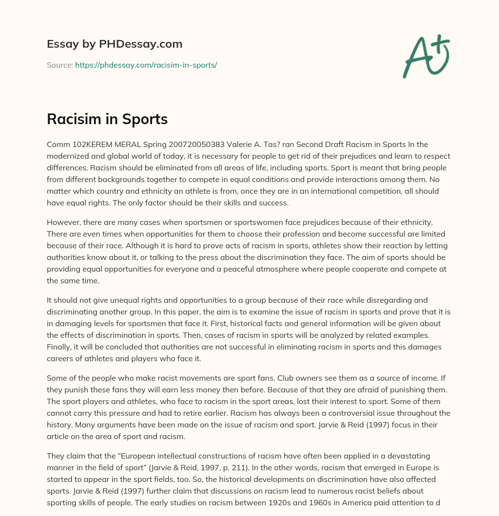 Racisim in Sports essay
