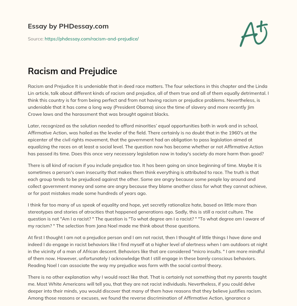 Racism and Prejudice essay