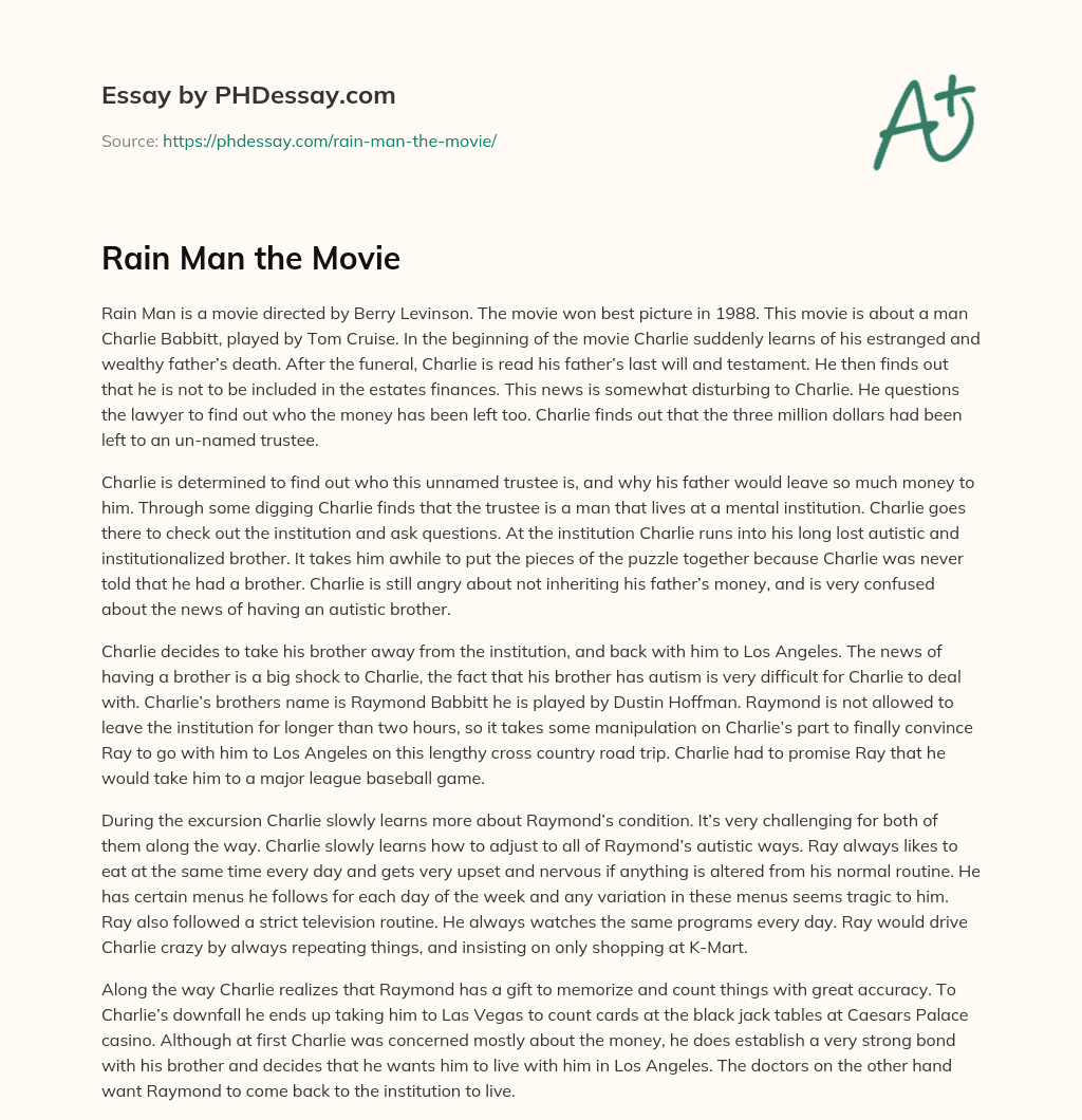 Rain Man the Movie essay