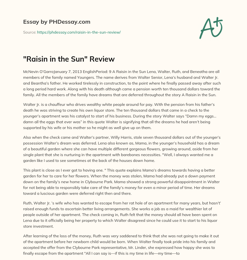 “Raisin in the Sun” Review essay