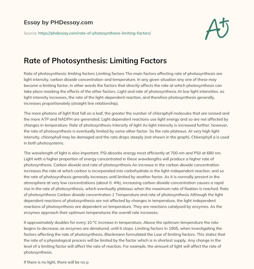 Rate of Photosynthesis: Limiting Factors essay