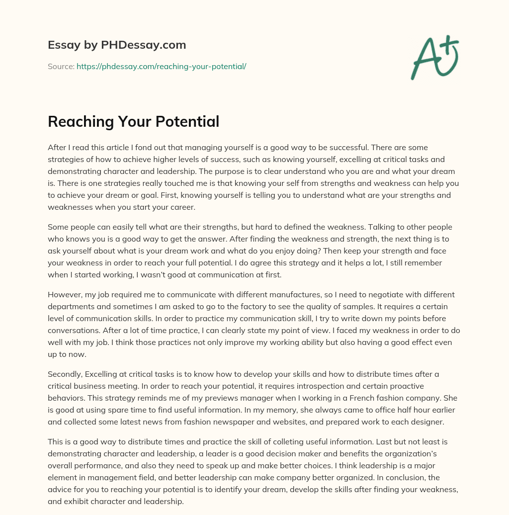 Reaching Your Potential essay