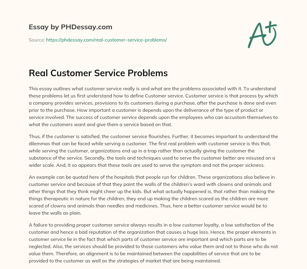 Real Customer Service Problems essay