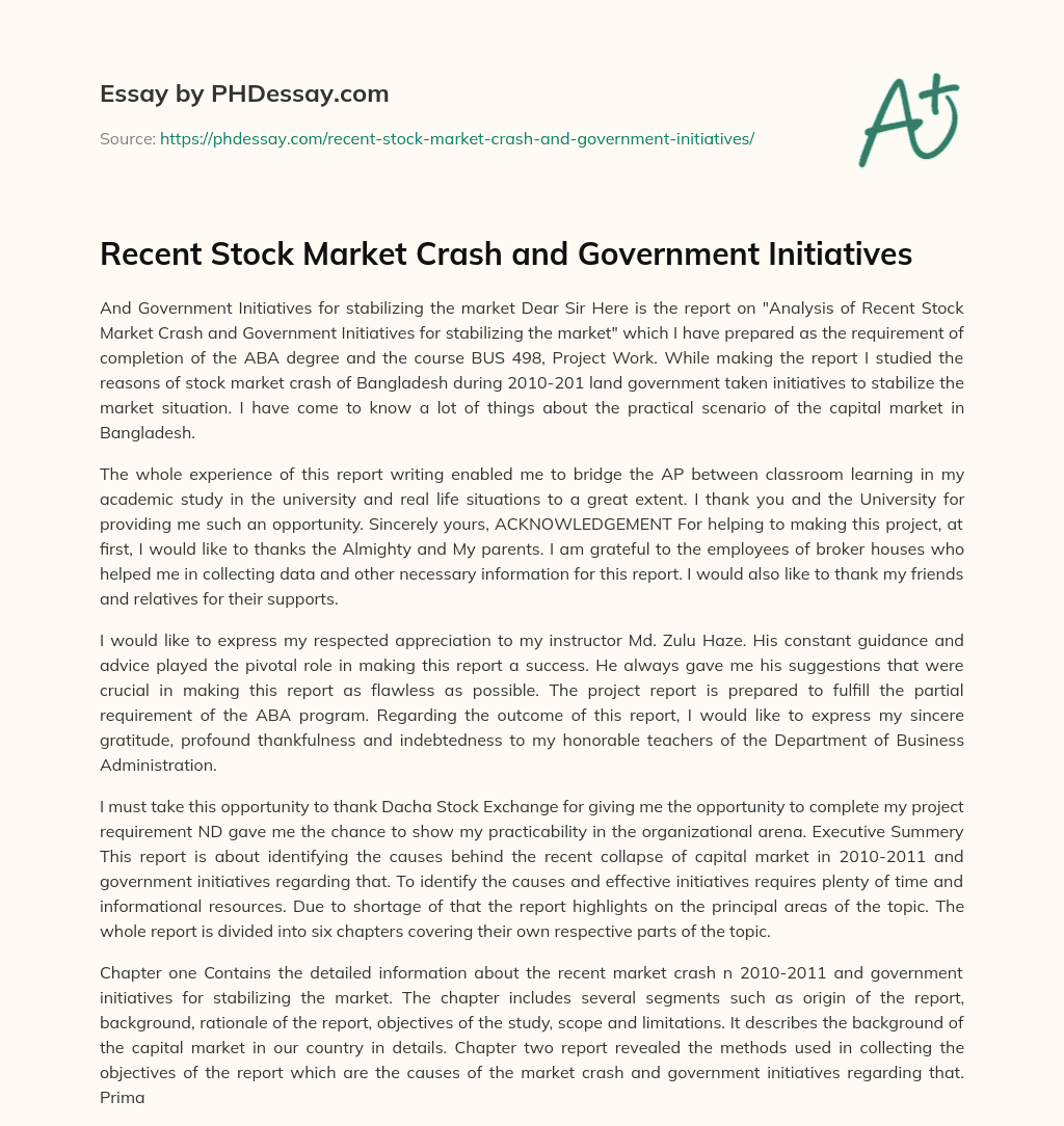 Recent Stock Market Crash and Government Initiatives essay