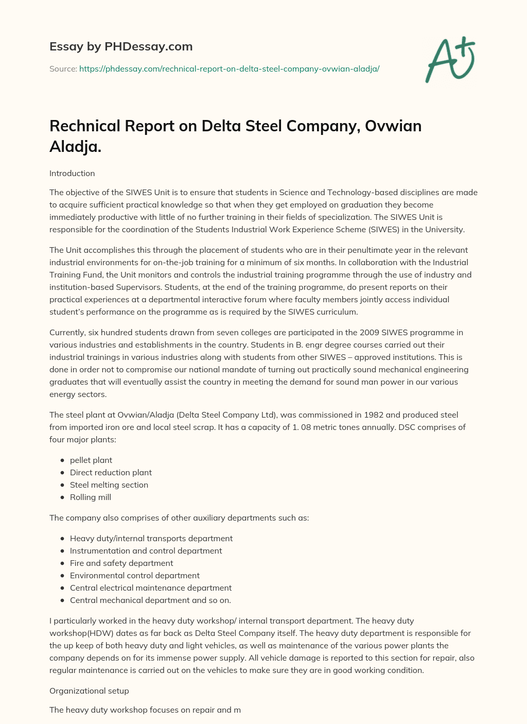 Rechnical Report on Delta Steel Company, Ovwian Aladja. essay