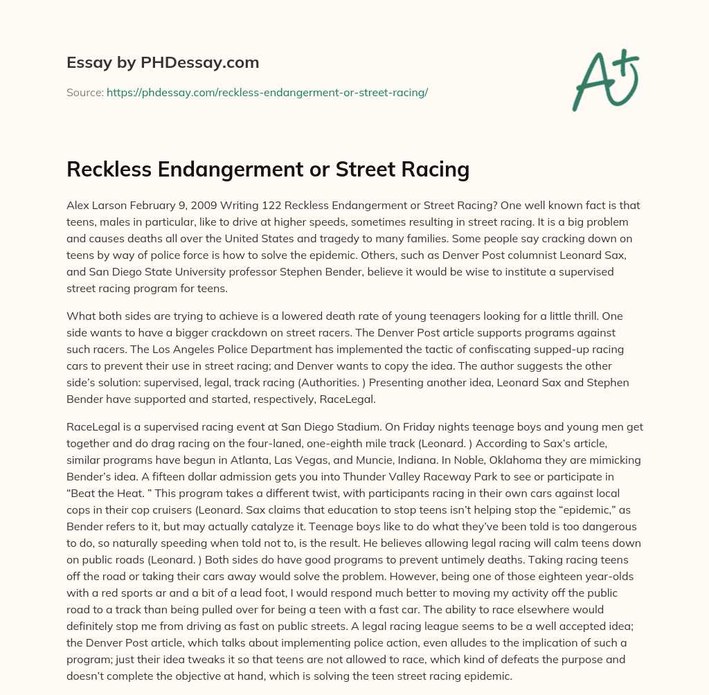 Reckless Endangerment or Street Racing essay