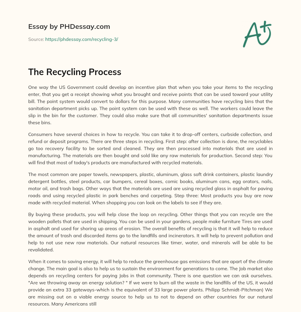 The Recycling Process essay