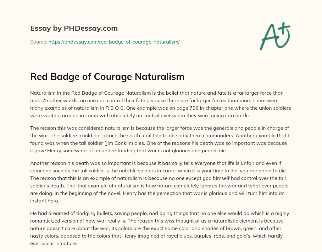 Red Badge of Courage Naturalism essay