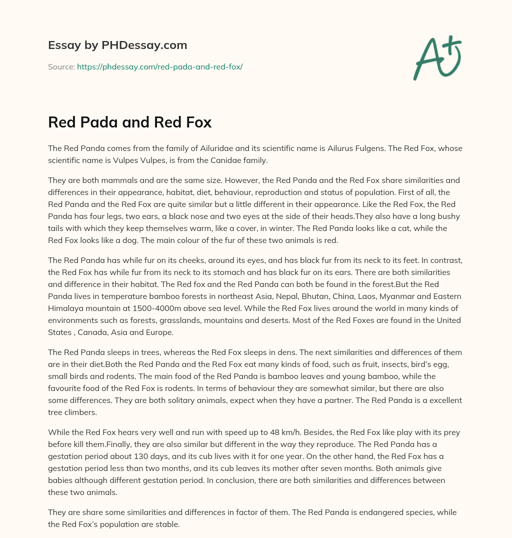 Red Pada and Red Fox (500 Words) - PHDessay.com