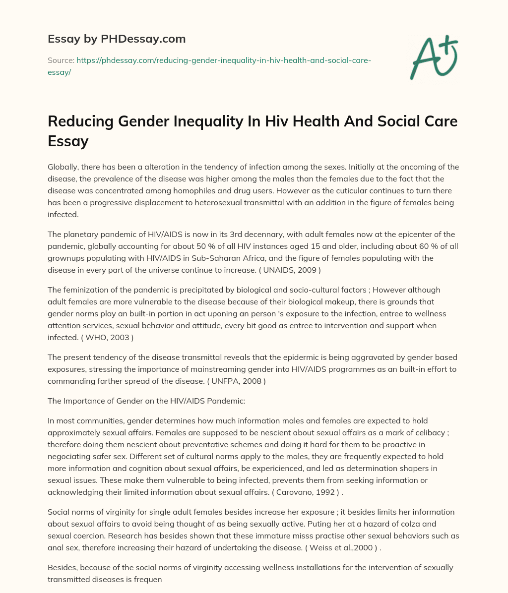Reducing Gender Inequality In Hiv Health And Social Care Essay essay