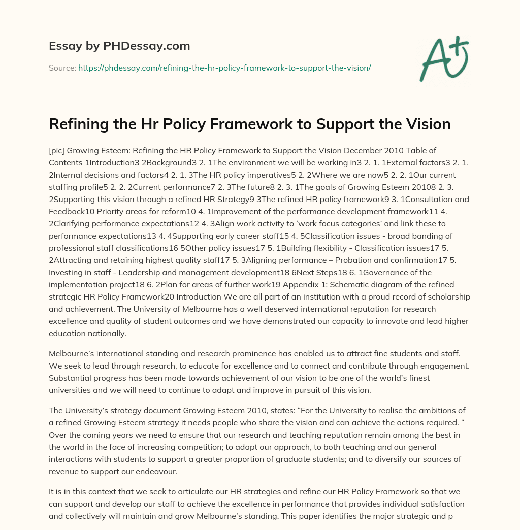 Refining the Hr Policy Framework to Support the Vision essay