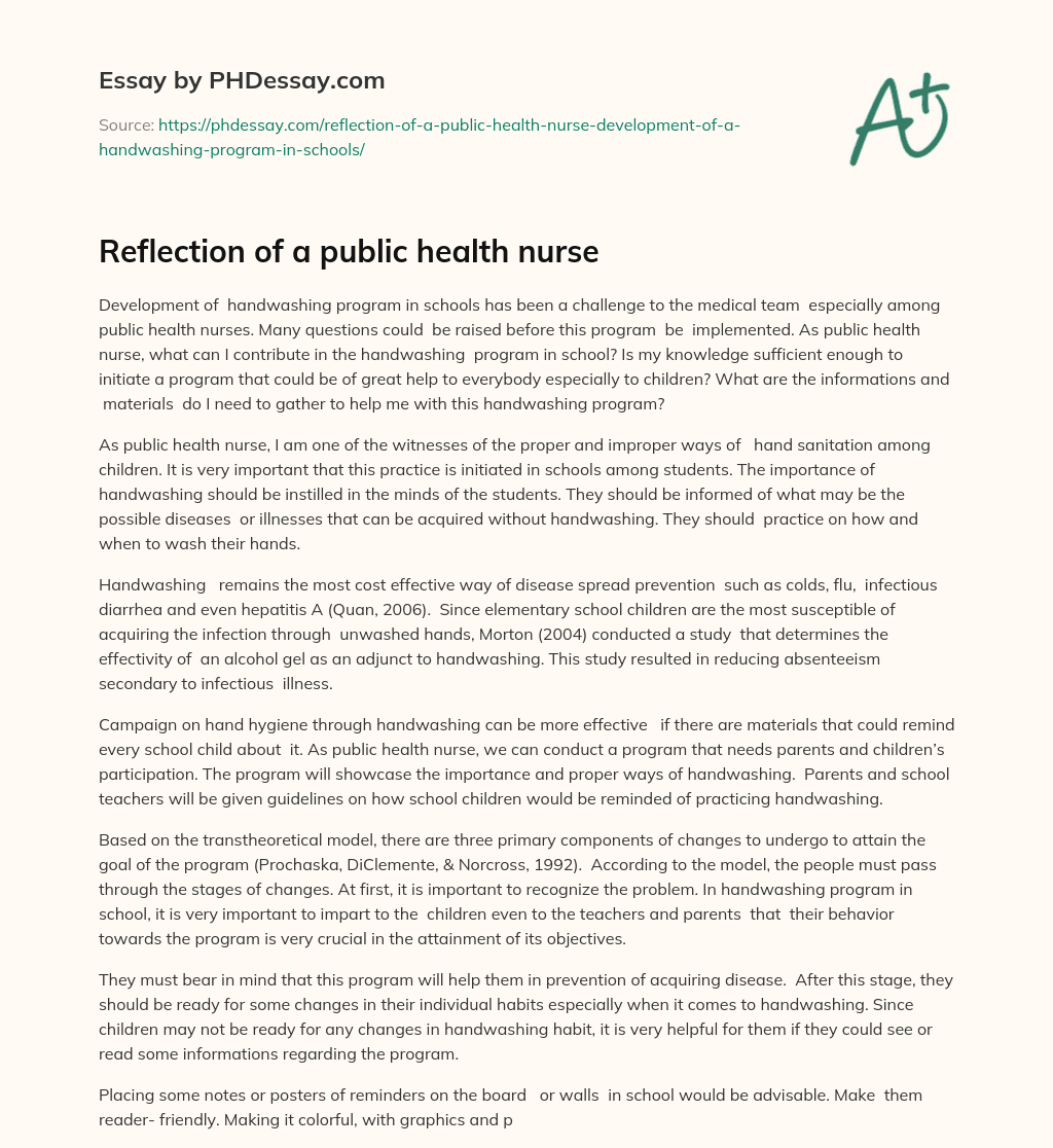 Reflection of a public health nurse essay