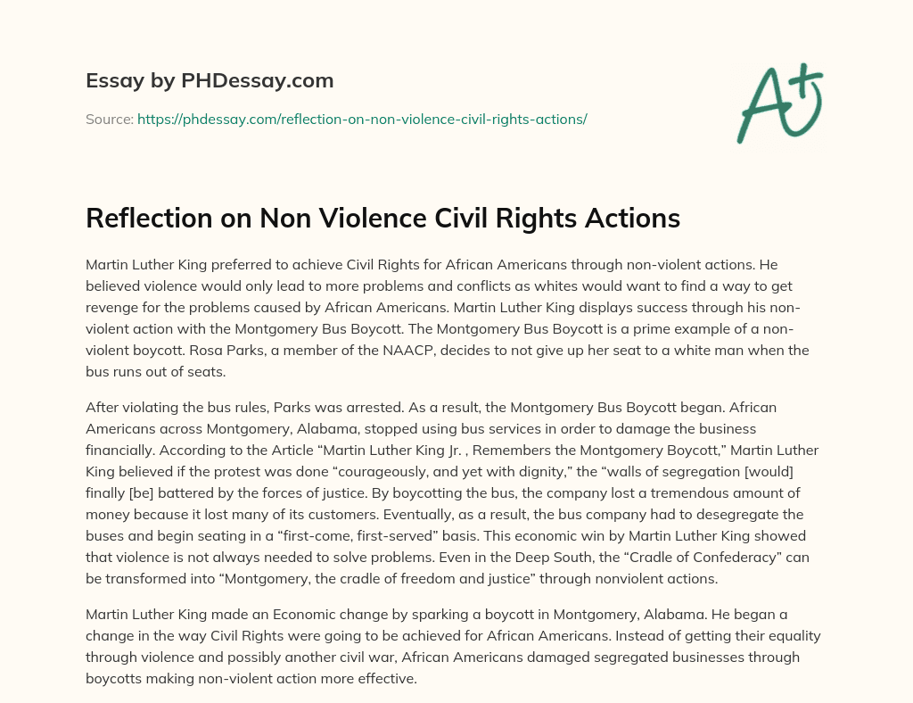 Reflection on Non Violence Civil Rights Actions essay