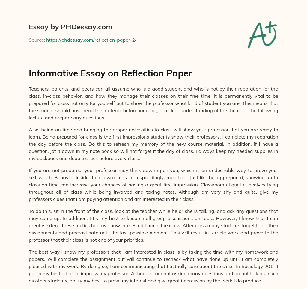 Informative Essay on Reflection Paper essay