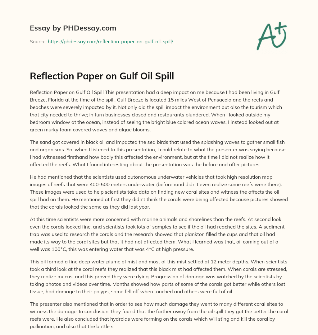 Reflection Paper on Gulf Oil Spill essay