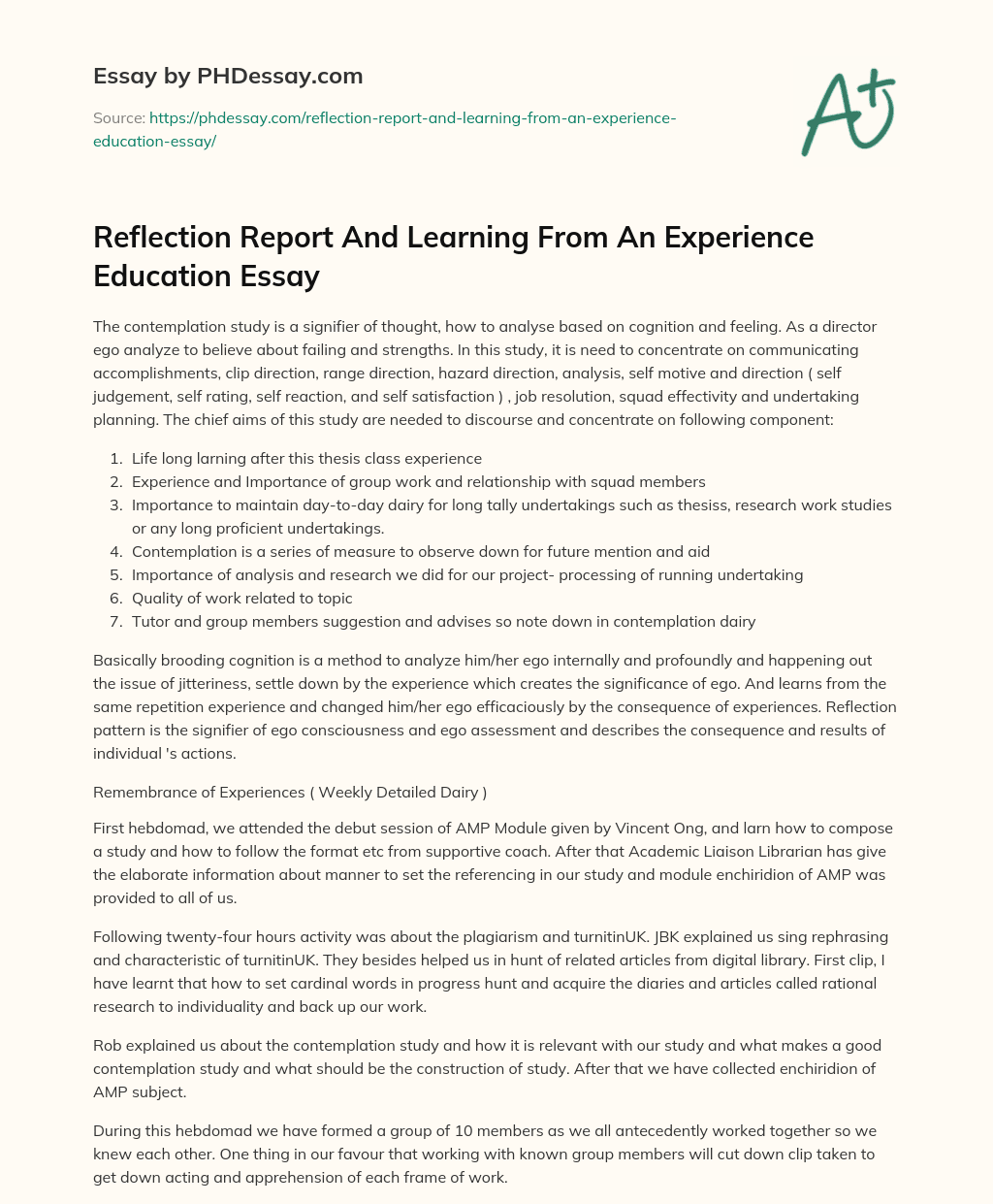 Reflection Report And Learning From An Experience Education Essay essay