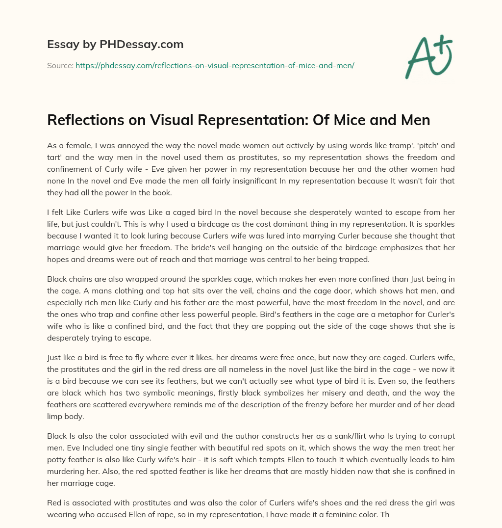Reflections on Visual Representation: Of Mice and Men essay