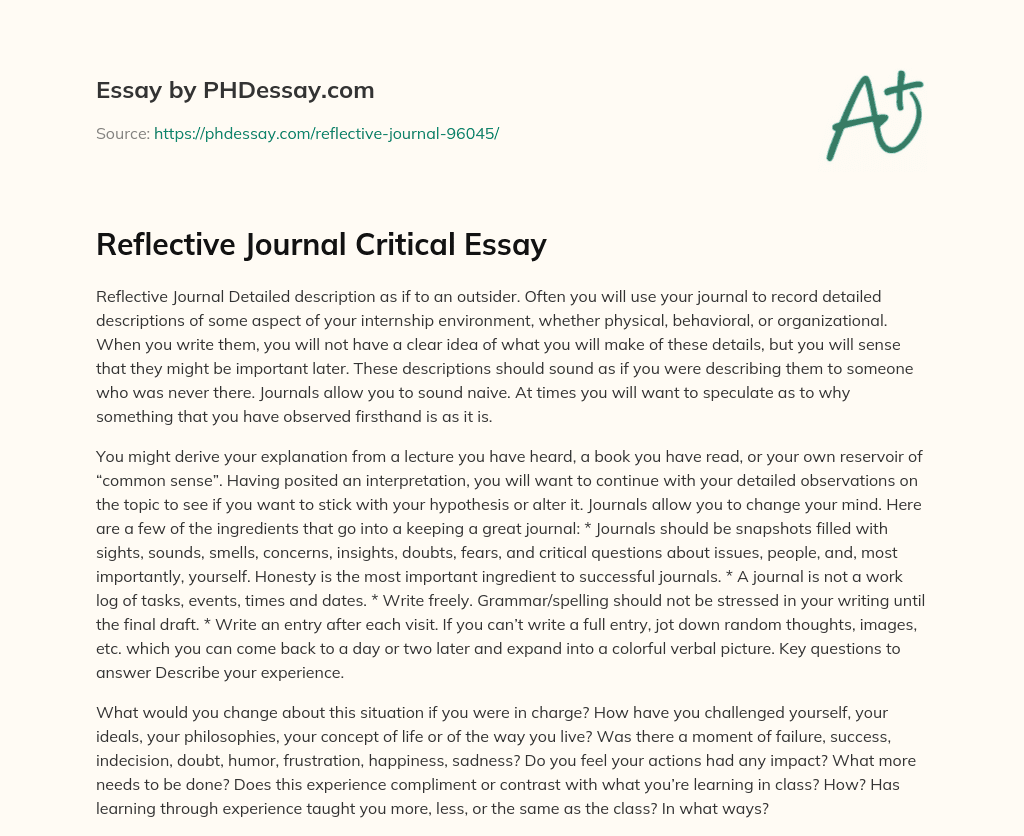 Reflective Journal Critical Essay essay