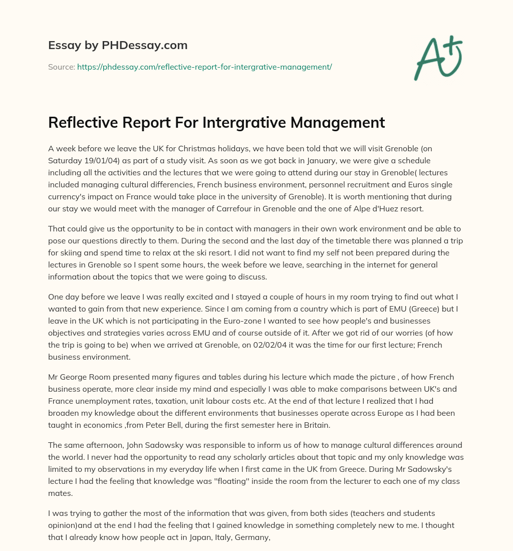 Reflective Report For Intergrative Management essay